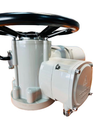 10kW Part Turn Electric Actuator Intelligent Custom Explosion Proof