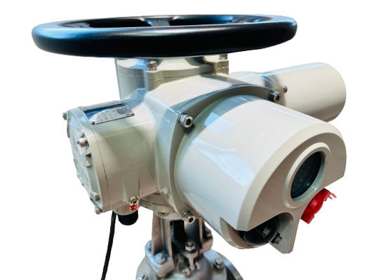 220V Electric Straight Stroke Valve Actuator